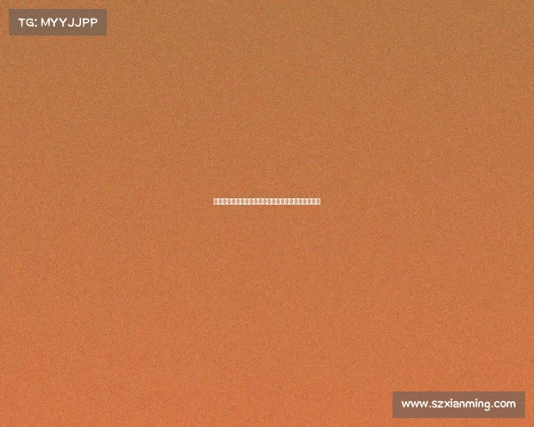 法甲赛季最新动态：各大豪门表现分析及未来赛事展望