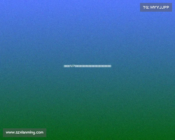 英雄联盟NIP电竞俱乐部选手亲临新鹏城基地与球员展开深度互动活动