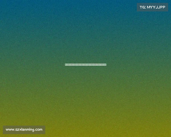 虚拟比赛引领新时代竞技潮流探索数字化竞技场的无限可能与挑战